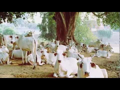 Michael Cassidy — Hidden Worlds - Michael Cassidy