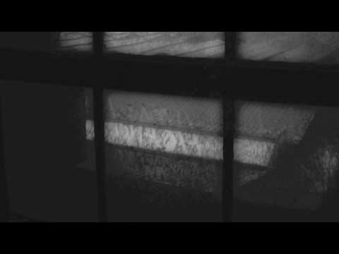 Max Richter — Max Richter-The Road Is A Grey Tape