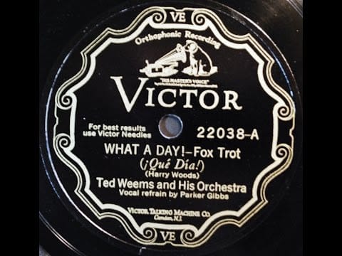 Ted Weems And His Orchestra — Ted Weems and His Orchestra: What A Day 1929  (Parker Gibbs)