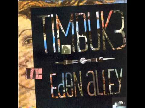 Timbuk 3 — Timbuk 3 - Too Much Sex, Not Enough Affection