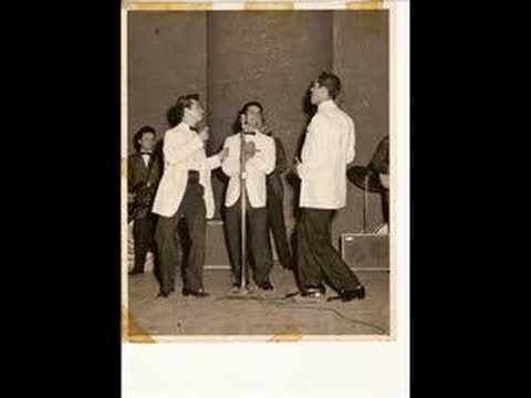 The Royal Jesters — The Royal Jesters - She's Coming Home