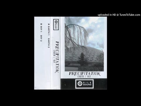 Precipitation — Precipitation - Earth 2