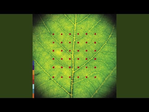 Michael Brook — Kuna Kunguni