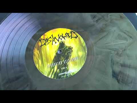 Disavowed — DISAVOWED - Stagnated Existence LP