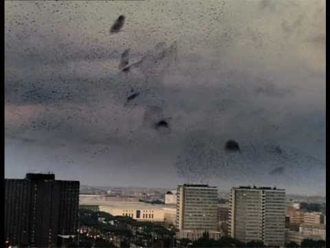 Spiller — Spiller - Pigeonman's Revenge (OFFICIAL)