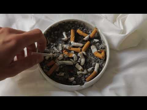Perigon — Perigon Peperoni and Cream - Official Music Video