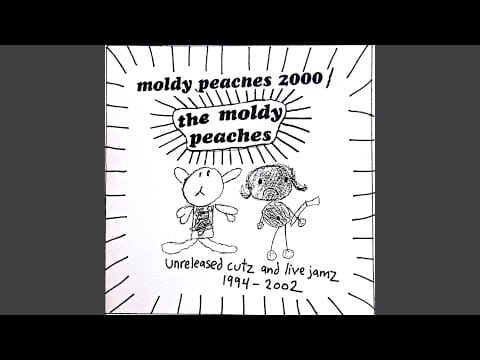 The Moldy Peaches — Friend of the Devil (Live '99)
