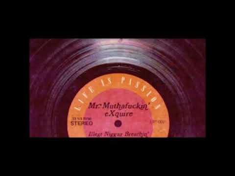 Mr. Muthafuckin eXquire — Mr Muthafuckin Exquire  Illest Niggaz Breathin