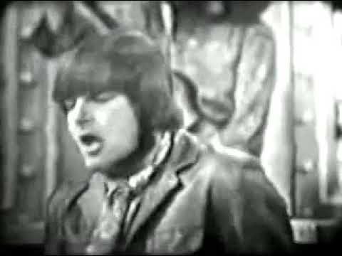 The Shadows Of Knight — The Shadows Of Knight - Shake (T.V. appearance)