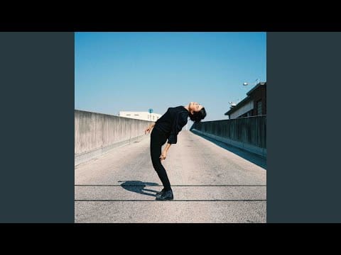 Françoiz Breut — Comme des lapons