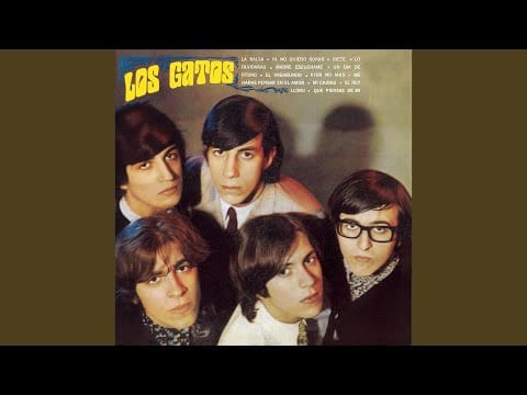 Los Gatos — Un Día de Otoño