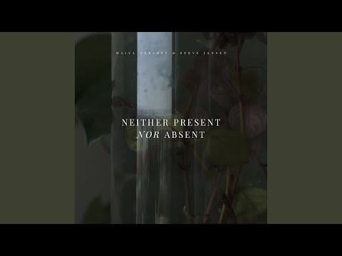 Steve Jansen — Vertical Sleep