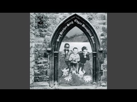 The Edgar Broughton Band — The Moth (Medley) (1999 Remaster)