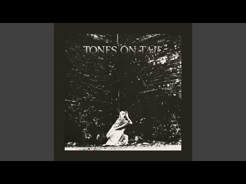 Tones On Tail — You, the Night and the Music