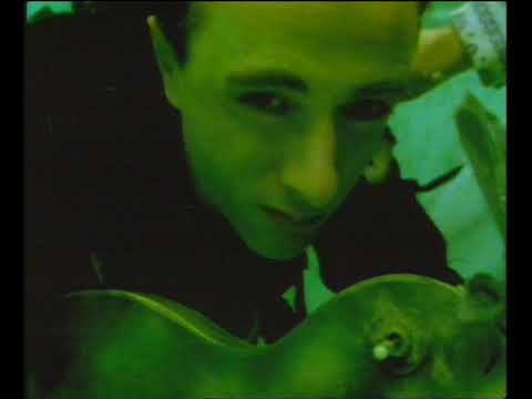 Split Enz — Split Enz - Dirty Creature (Official Video)