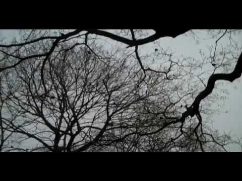 Real Estate (2) — Real Estate - Black Lake