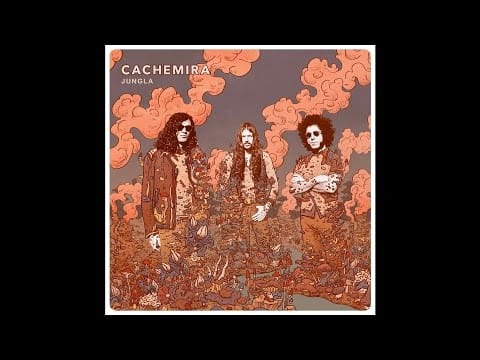 Cachemira — CACHEMIRA "Overpopulation"