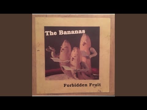 The Bananas — Indensity
