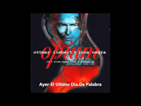 Ottmar Liebert And Luna Negra — Ottmar Liebert + Luna Negra    Ayer el último día de palabra