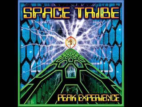 Space Tribe — Space tribe vs tristan  -distorded reality