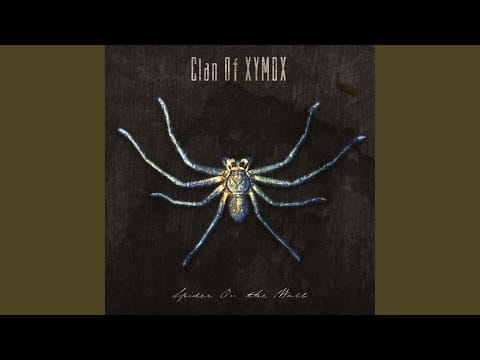 Clan of Xymox — When We Were Young