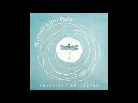 Dragonfly Collector — The Saddest Sound - Dragonfly Collector [Official Audio]