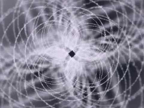 Shiva Chandra — Shiva Chandra - Gartenzaun Pforte
