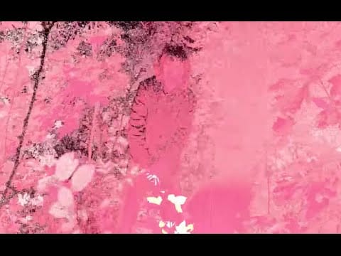 Bladee — BLADEE - EVERY MOMENT SPECIAL (Official Video) EXETER