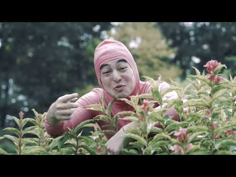 Pink Guy — PINK GUY - STFU