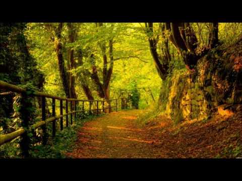 Gondi — Gondi - Armana