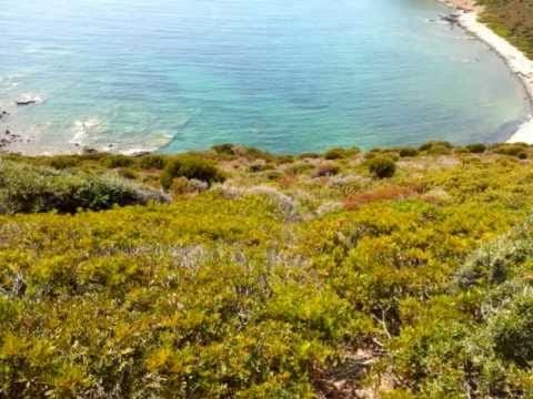 Frankie Knuckles — Frankie Knuckles   The Whistle Song REMIX 2012!