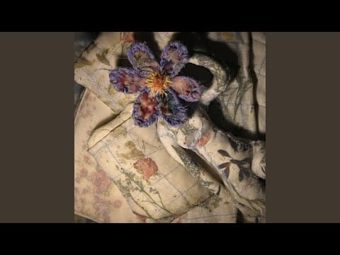 Patrick Watson (2) — Height of the Feeling