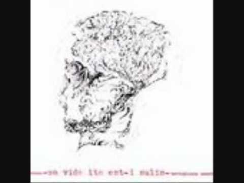 I Salis — Salis & salis - matrimonio