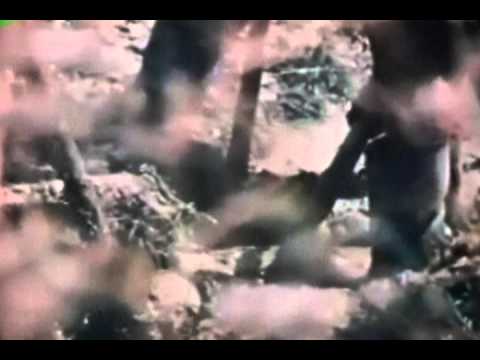 The Stubs — The Stubs - "Nation of Losers" Instant Classic Records