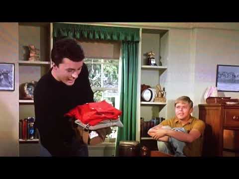 James Darren — James Darren sings “Wild About That Girl” from GIDGET GOES HAWAIIAN