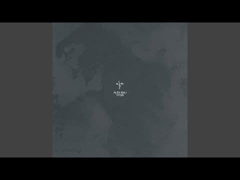 Alex Bau — VYGR 1