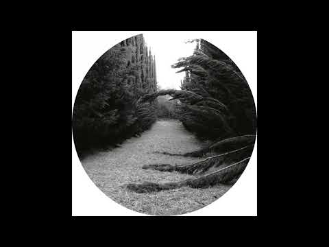 Ladan — Ladan - Zone 2 [SUBL001]