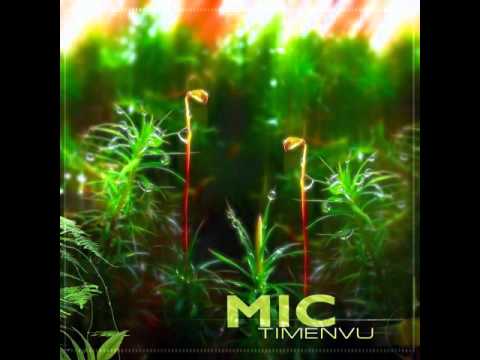 MIC (9) — MIC - Vagabondage
