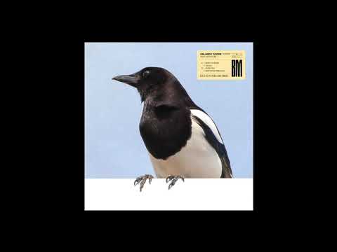 Orlando Voorn — Orlando Voorn - Distorted Feelings [BM5]