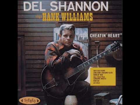 Del Shannon — You Win Again ~ Del Shannon (1965)