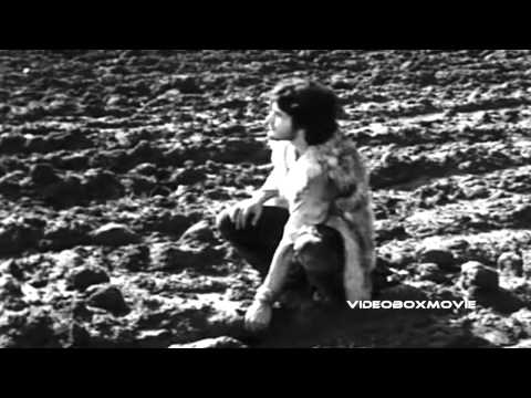 Tito Schipa Jr. — ORFEO 9 (Tito Schipa jr.) - CIAO