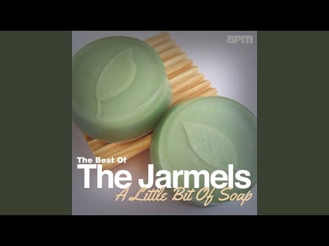 The Jarmels — Little Bug