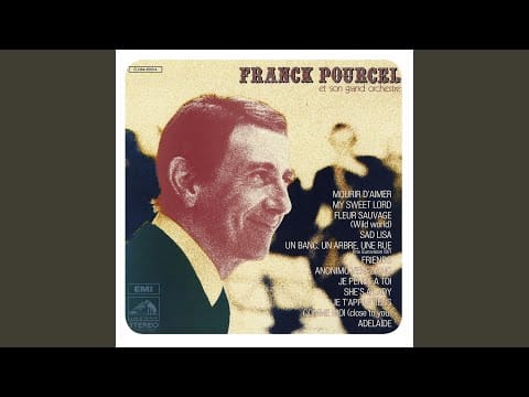 Franck Pourcel Et Son Grand Orchestre — Je pense à toi (Remasterisé En 2011)