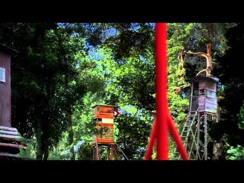 Hundreds (2) — Hundreds - Wait For My Raccoon