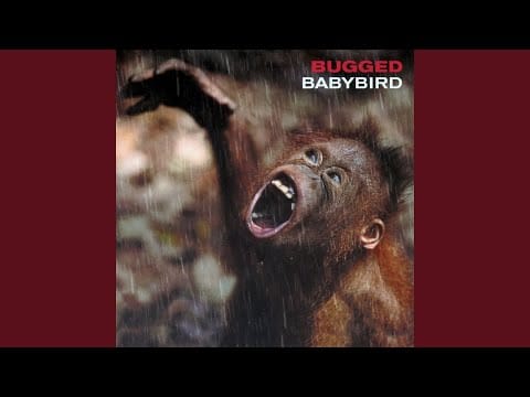 Babybird — Wave Your Hands