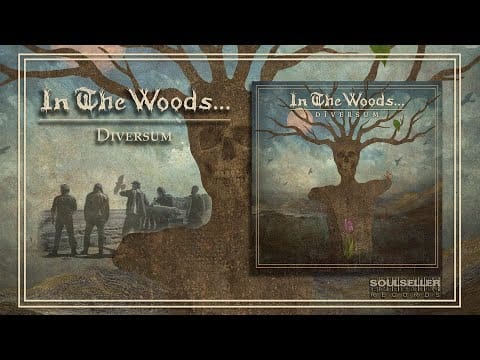 In The Woods... — IN THE WOODS - DIVERSUM (OFFICIAL FULL ALBUM STREAM)