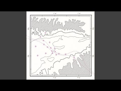 Giardini Di Mirò — Pet Life Saver (Herrmann & Kleine Mix)