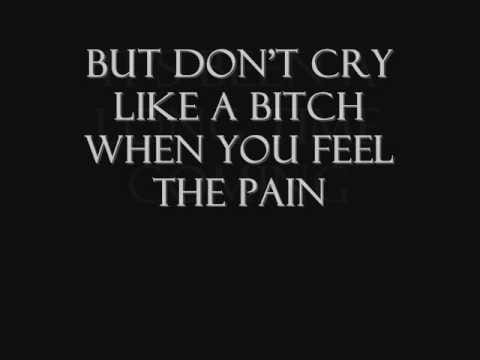 Sick Puppies — lyrics for you're going down - sick puppies