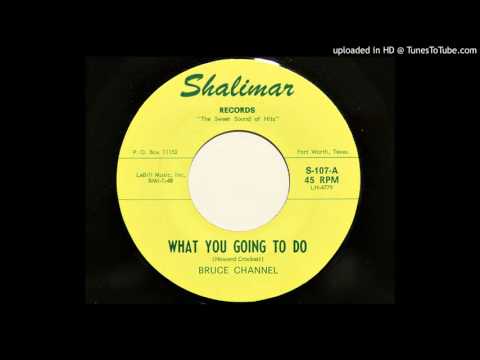 Bruce Channel — Bruce Channel - What You Going To Do (Shalimar 107)