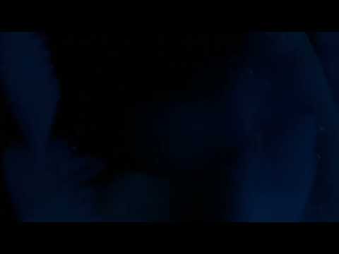 Bosco Sacro — Bosco Sacro - Ice Was Pure [official video]